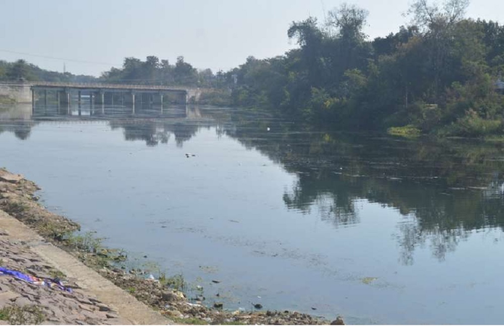 रीवाः बिछिया नदी में छलांग लगाते ही पानी में समाया बालक, तलाश में जुटी टीम रीवाः बिछिया नदी में छलांग लगाते ही पानी में समाया बालक, तलाश में जुटी टीम